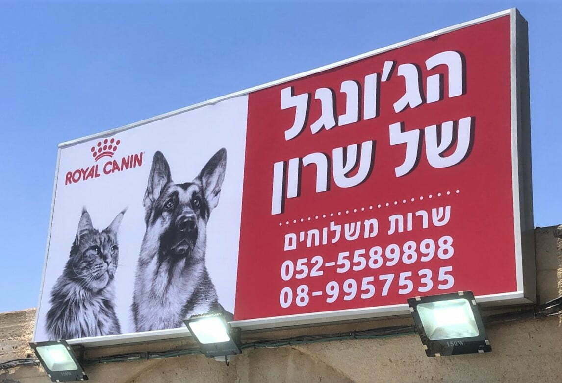 ארגזי תאורה